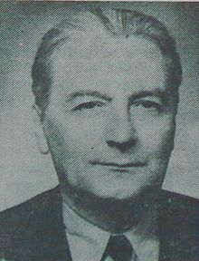 Chimist, membru titular al Academiei Române din 1952 și Președinte al Academiei între anii 1963-1966. Între anii 1947-1949 a fost rector al Institutului Politehnic Timișoara, iar din 1949 până în 1950 este numit rector al Universității din București. Ilie Murgulescu a fost Ministrul Învățământului Superior în perioada 24 ianuarie 1953 - 28 octombrie 1953, Ministru al Învățământului și Culturii în perioada 21 martie 1961 - 9 iunie 1962 și Ministru al Învățământului în perioada 9 iunie 1962 - 16 aprilie 1963. A fondat Institutul de Chimie Fizică al Academiei Române pe care l-a condus până în 1977.