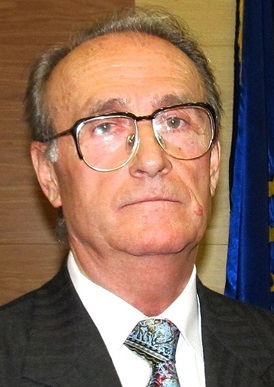 S-a născut la 19 februarie 1951 în Săliște, județul Maramureș. Este absolvent al Facultății de Matematică, promoția 1974, iar din 1978 este cadru didactic al Universității Politehnica Timișoara, unde a obținut titlul de doctor inginer în anul 1991 cu teza - Inverse Problems in Analytical Mechanics - . Domeniul de cercetare al Profesorului Marinca este reprezentat de sisteme dinamice neliniare cu aplicații în diverse sectoare ale ingineriei, vibrații neliniare, mecanică teoretică și aplicată etc. A elaborat metode de calcul ale ecuațiilor diferențiale neliniare. Aplicațiile vizează vibrațiile mecanice, mecanica fluidelor, termotehnica și orice alte domenii în care apar ecuații diferențiale. Ca urmare a personalității marcante, de înaltă ținută academică, Profesorul Vasile Marinca a fost ales Membru Corespondent al Academiei Române în ședința din data de 26.11.2015.