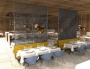 Proiect al studenților-arhitecți de la UPT: amenajarea unui restaurant de lux în Alpii Elvețieni